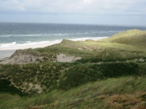 düne