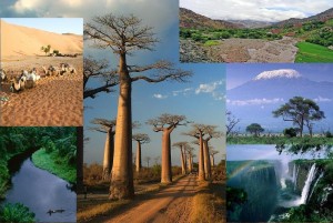 Afrika_montázs
