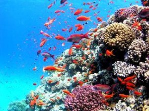 hurghada_1